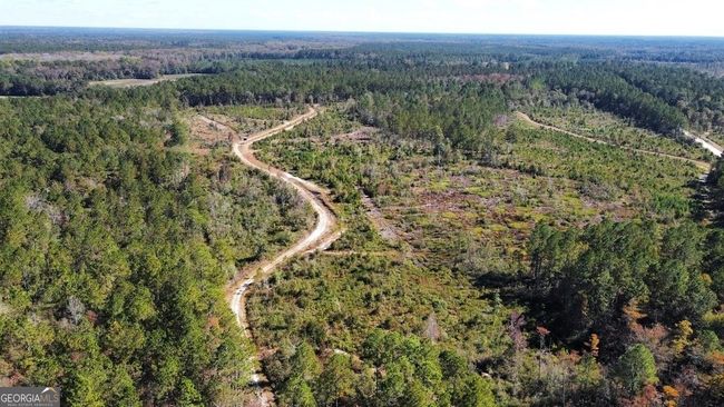 268-ACRES - 99 Old Happy Ln, Home with 0 bedrooms, 0 bathrooms and null parking in Brooklet GA | Image 21