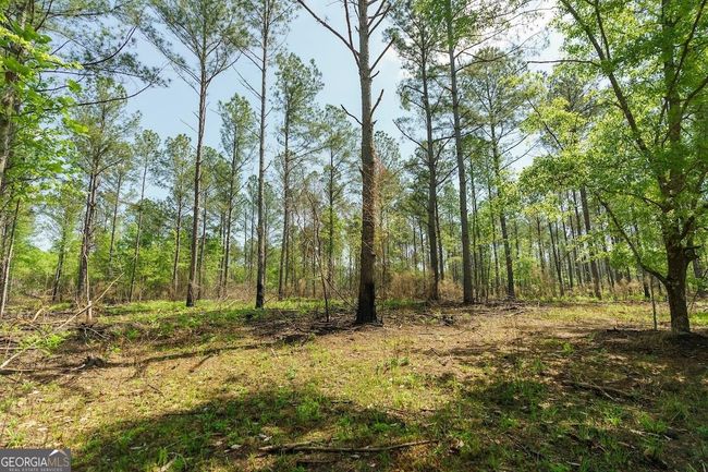6053 Sun Hill Grange Rd, Home with 0 bedrooms, 0 bathrooms and null parking in Davisboro GA | Image 97