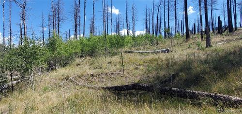 Lot Reed Ln, Fort Garland, CO, 81133 | Card Image
