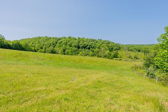 688 Gibson Knob Rd, Home with 0 bedrooms, 0 bathrooms and null parking in Laurel Fork VA | Image 88