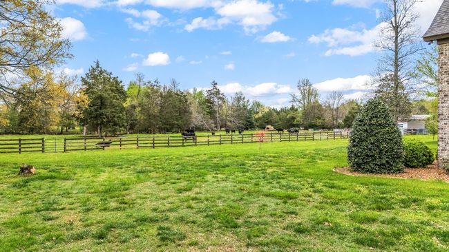 Additionally, the ample acreage is well-suited for raising cattle or horses, offering plenty of room for grazing and outdoor activity. | Image 19