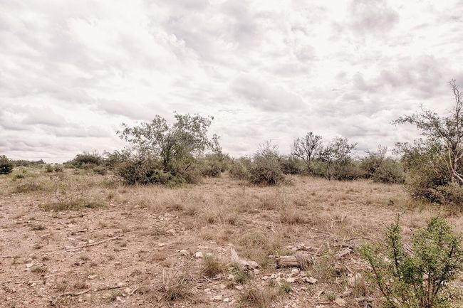 Image | Image 5