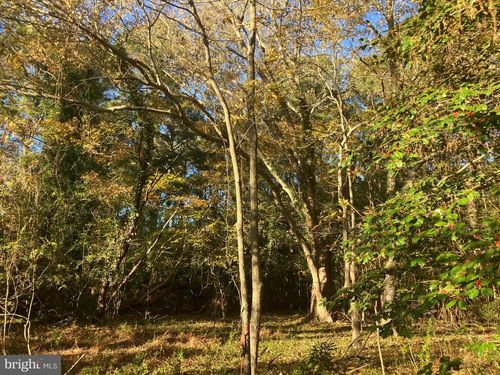 81 Davis Rd, MARION STATION, MD, 21838 | Card Image