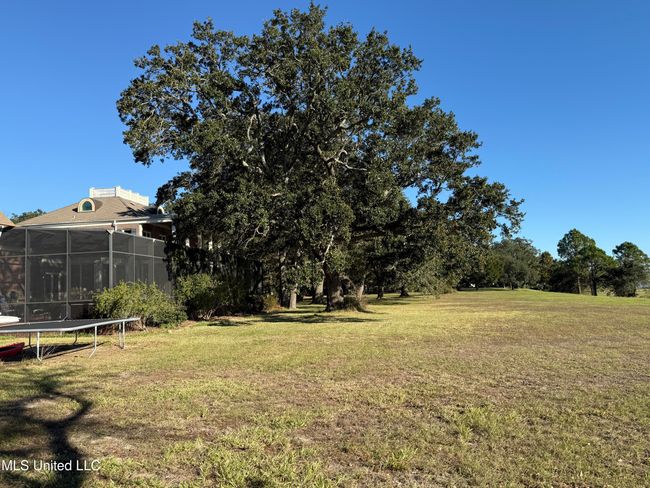 Back yard | Image 152
