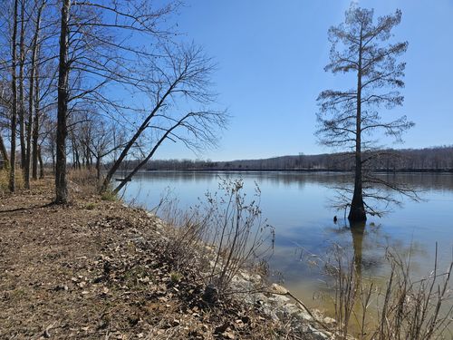 199 Hardin Bottom River Rd, Clifton, TN, 38425 | Card Image