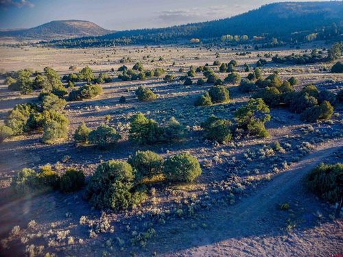 10 Conejos Trails Rd, Conejos, CO, 81120 | Card Image