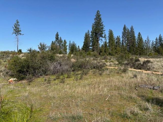 19292 Shawnee Trl, Home with 0 bedrooms, 0 bathrooms and null parking in Mokelumne Hill CA | Image 49