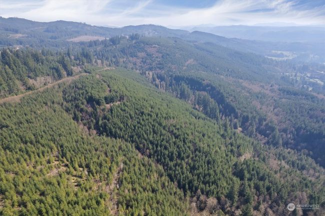 0 Ne Cedar Mist Rd, Home with 0 bedrooms, 0 bathrooms and null parking in AMBOY WA | Image 16