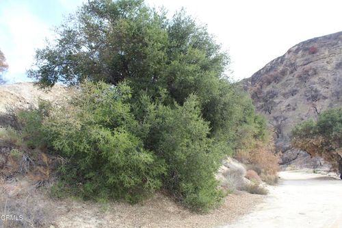 31029 Hasley Canyon Rd, Castaic, CA, 91384-4515 | Card Image