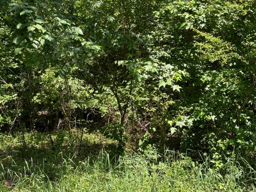 2140 Erving Ridge Loop, Cabot, AR, 72023-8628 | Card Image