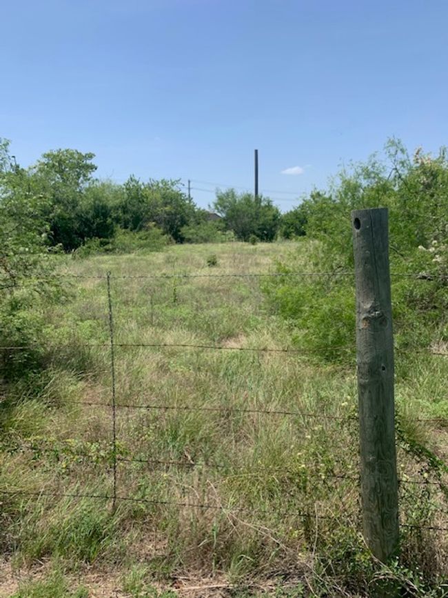 Backyard looking towards Marketplace Ave where the utility pole is located | Image 5