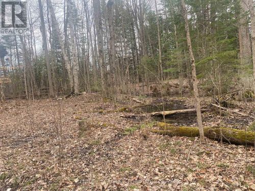 00 County Rd 44 Road, Edwardsburgh/Cardinal, ON, K0E1X0 | Card Image