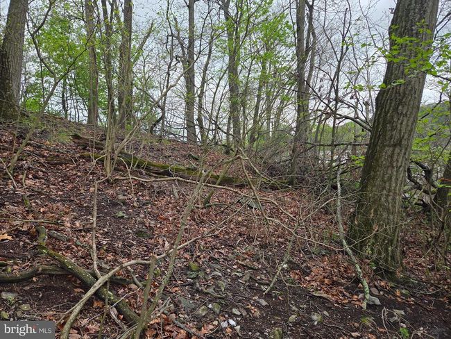 0 W Clearview Dr, Home with 0 bedrooms, 0 bathrooms and null parking in GLEN ROCK PA | Image 27