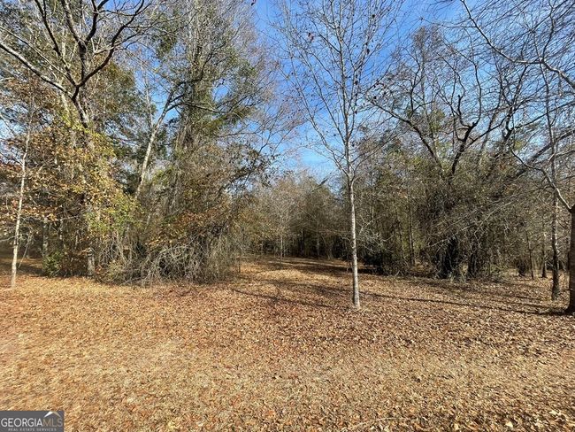 0 Oakland Heights Rd, Home with 0 bedrooms, 0 bathrooms and null parking in Sylvester GA | Image 6