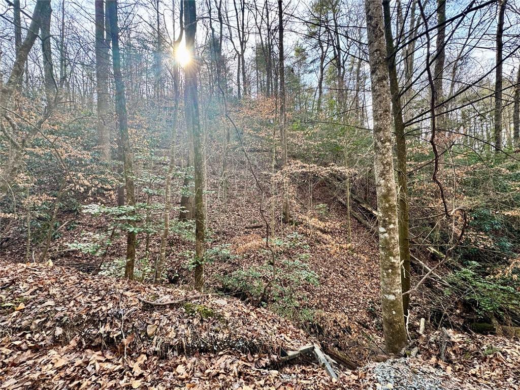 Land in Ellijay 5