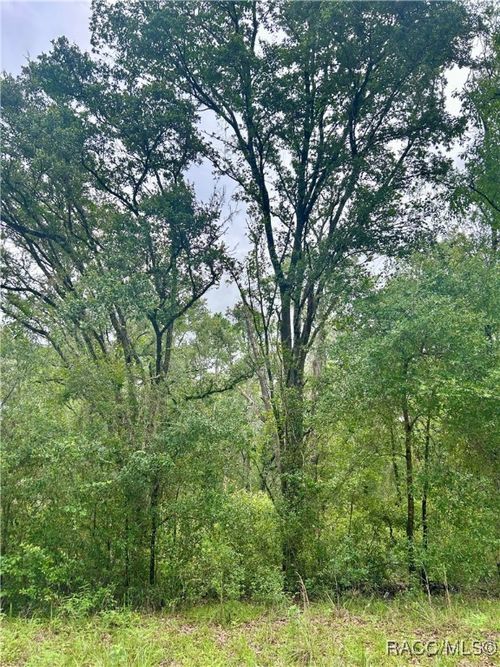 714 Longwood Ave, INVERNESS, FL, 34453-3374 | Card Image