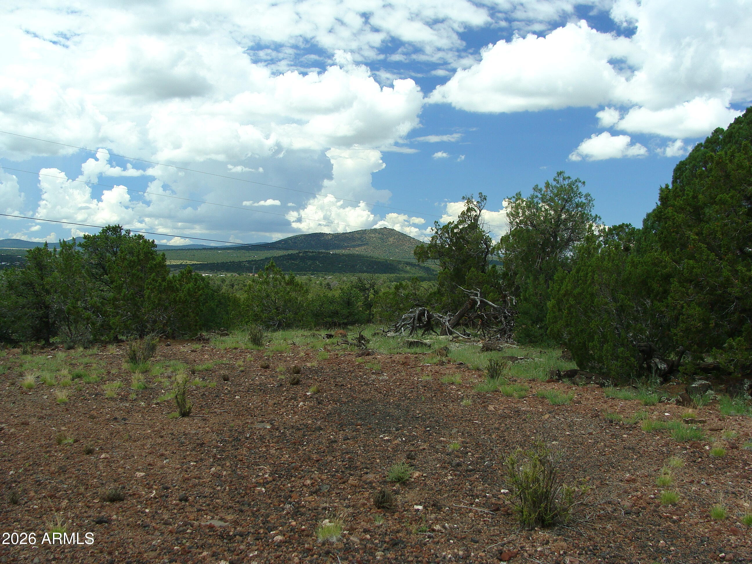 Land in Seligman 2