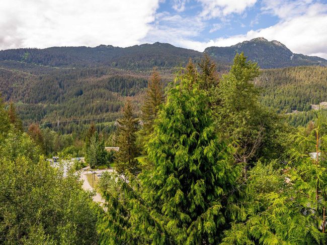 1569 Tynebridge Lane, House other with 4 bedrooms, 5 bathrooms and 4 parking in Whistler BC | Image 19