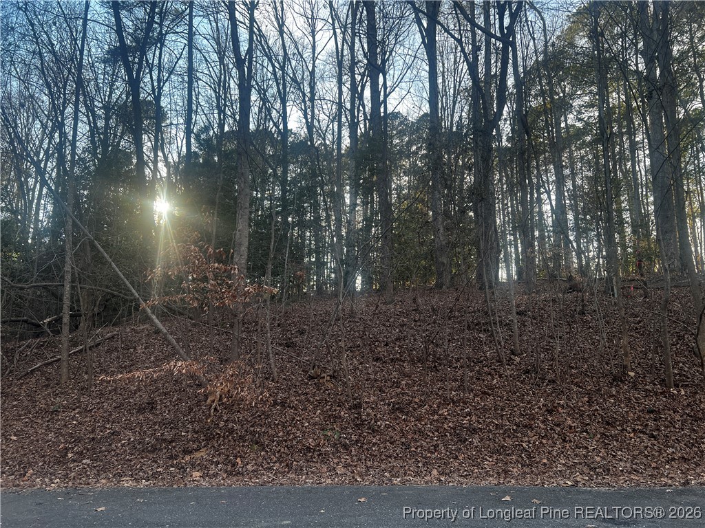 Land in Sanford 3