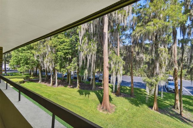 04239 - 36750 Us Highway 19 N, Condo with 3 bedrooms, 2 bathrooms and null parking in Palm Harbor FL | Image 4