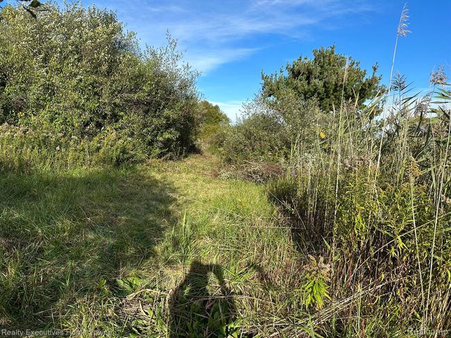 000 Wildcat Rd, Home with 0 bedrooms, 0 bathrooms and null parking in Jeddo MI | Image 15