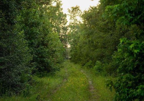 39 Coyote Run, Willis, TX, 77378-9400 | Card Image