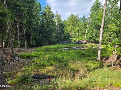 lot-3-L3 Emily Ln, Chestertown, NY, 12817 | Card Image