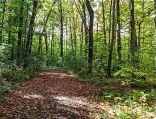 Lot # 1 Ambassador Shores, Leitchfield, KY, 72754 | Card Image