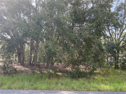 8402 N Bolder Dr, Citrus Springs, FL, 34434-5941 | Card Image