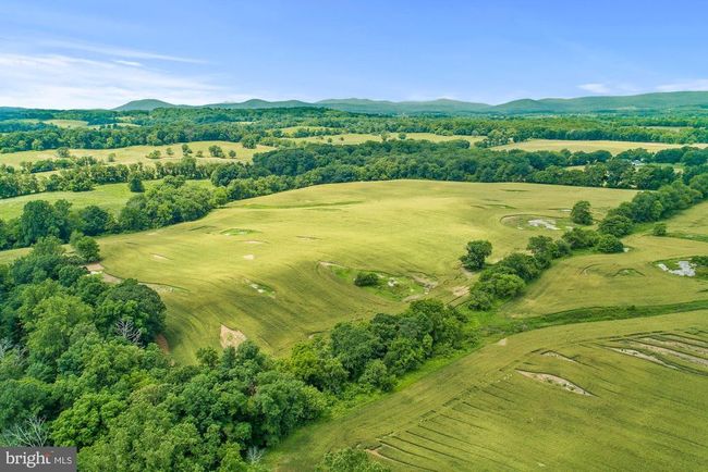 8160 Frogtown Rd, Home with 0 bedrooms, 0 bathrooms and null parking in MARSHALL VA | Image 26