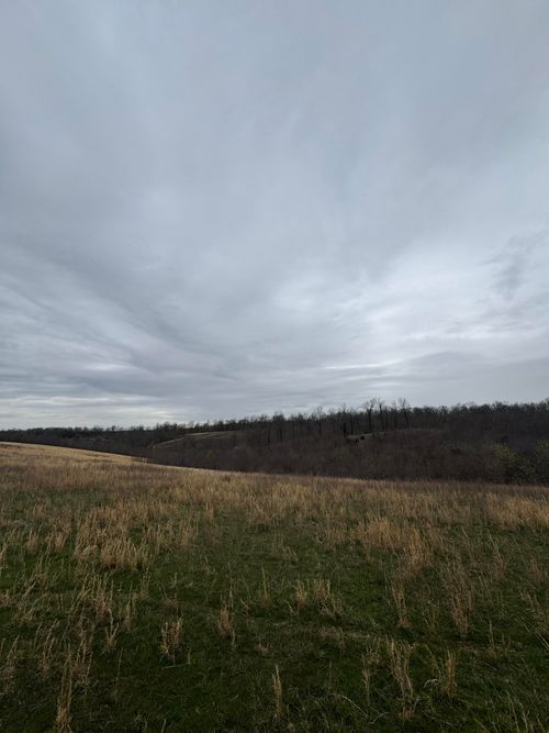 000 Buckeye Ln, Stella, MO, 64867 | Card Image