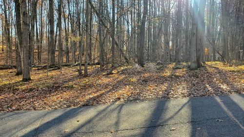 9815 Lost Canyon Dr, Stanwood, MI, 49346-9780 | Card Image