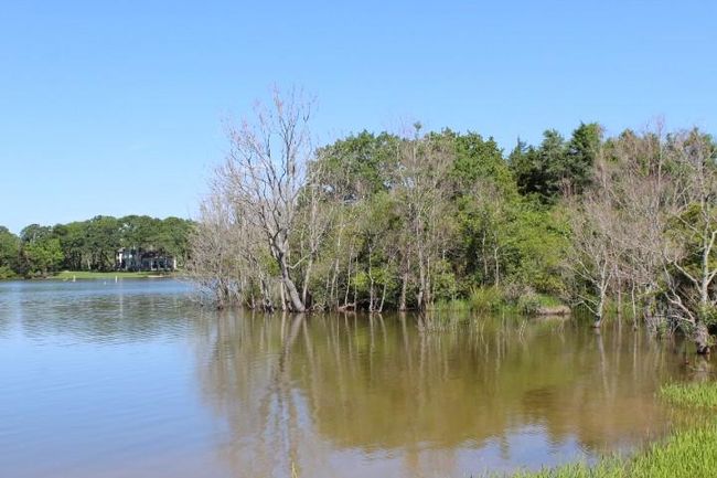 3 Persimmon Ln, Home with 0 bedrooms, 0 bathrooms and null parking in Normangee TX | Image 17