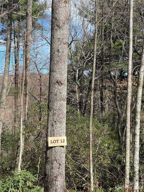 000 Eagle Ridge Rd, Zirconia, NC, 28790 | Card Image