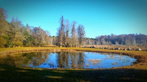 1106 Fox Hunter Rd, PERRY, FL, 32348 | Card Image