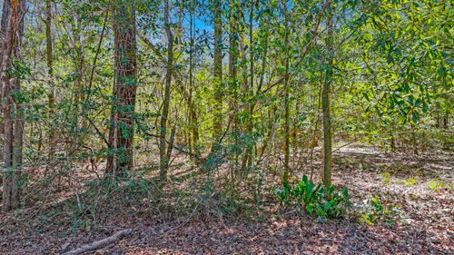 TBD Cedar Log Lake Rd, Ponce De Leon, FL, 32455 | Card Image