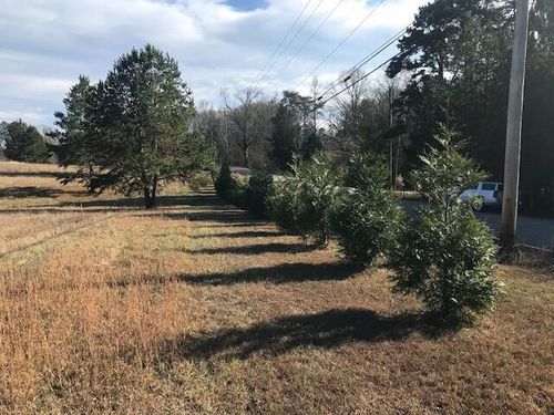 16697 N Star Cir, Bakewell, TN, 37373-7756 | Card Image