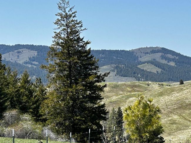3534 Advent Gulch, House other with 3 bedrooms, 2 bathrooms and 4 parking in Cambridge ID | Image 27