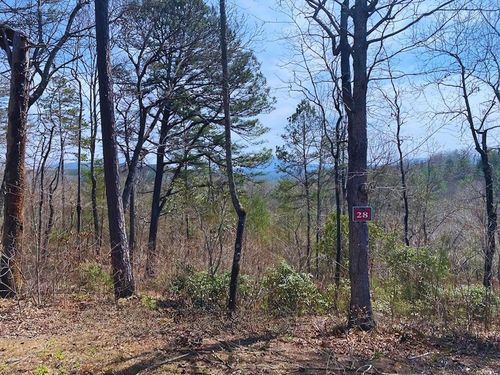 Lot 28 Brasstown, Brasstown, NC, 28902 | Card Image
