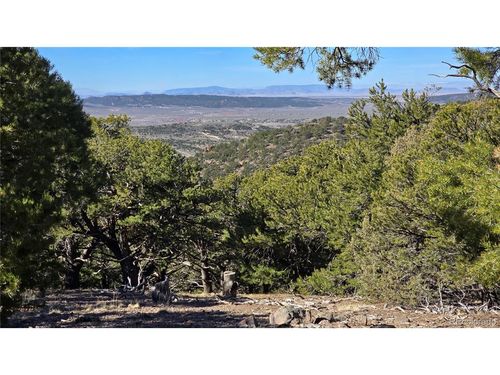 4510 Iannelli Rd, Fort Garland, CO, 81133 | Card Image