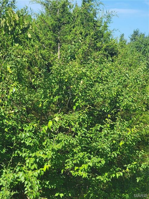 5060 Fox Creek Rd, Pacific, MO, 63069 | Card Image