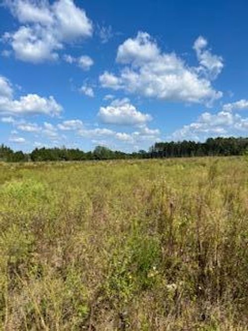 TBD Garrett Rd, Silver Creek, MS, 39663 | Card Image