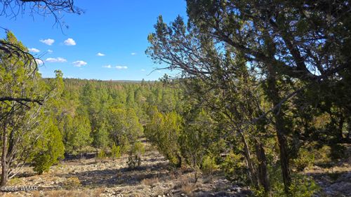 2947 E Lookout Ln, Overgaard, AZ, 85933-5244 | Card Image