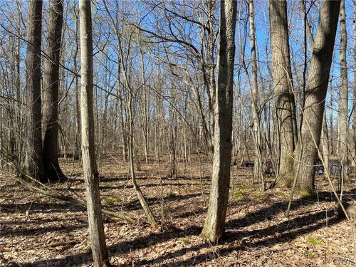 0 Spile Bridge Road, De Peyster, NY, 13654 | Card Image