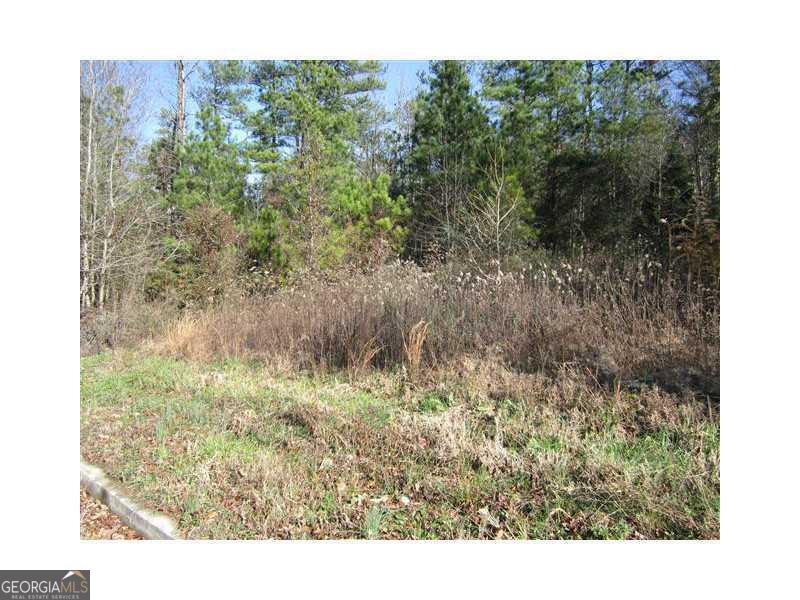Land in Douglasville 2