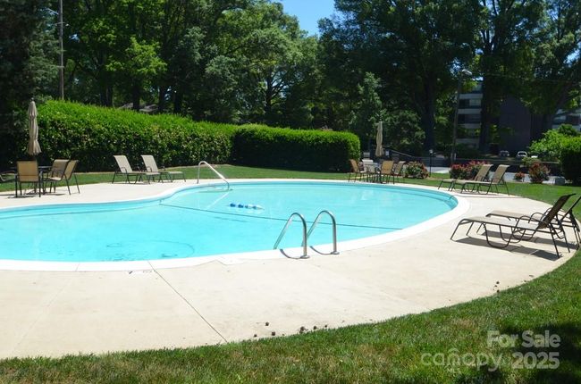 Inground pool w/natural area | Image 28
