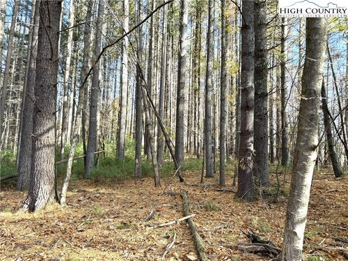 TBD Jr Dairy Rd, Ennice, NC, 28623 | Card Image