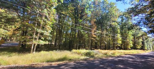 A310 Towamensing Trails Rd, Albrightsville, PA, 18210 | Card Image