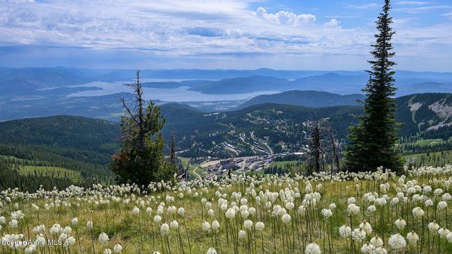 Year Round activities and endless hiking trails | Image 13