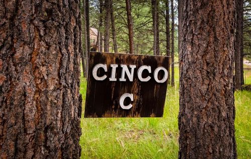 29 Via Del Rey, Angel Fire, NM, 87710-8291 | Card Image